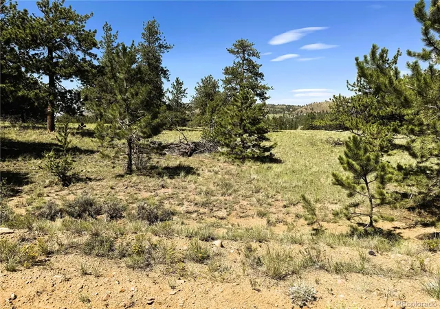 1st image of 127 Boulder Rd, Hartsel, CO 80449 | MLS# 5921675
