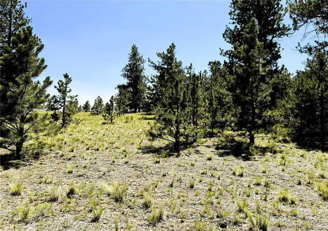 2nd image of 127 Boulder Rd, Hartsel, CO 80449 | MLS# 5921675