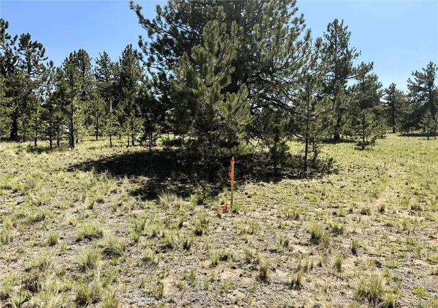 3rd image of 127 Boulder Rd, Hartsel, CO 80449 | MLS# 5921675