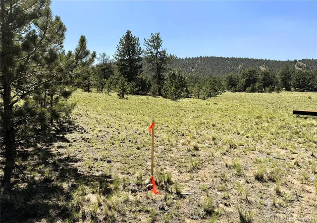4th image of 127 Boulder Rd, Hartsel, CO 80449 | MLS# 5921675