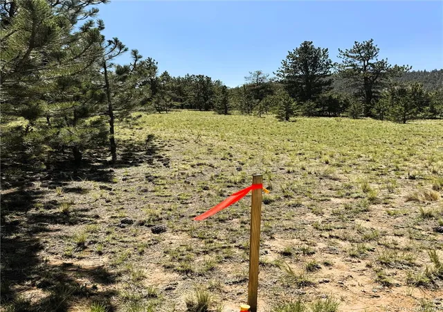 5th image of 127 Boulder Rd, Hartsel, CO 80449 | MLS# 5921675