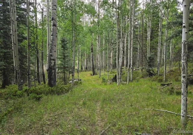 Photo 3 of Sale Pending at Lots 6276 & 6277 Malcolm And Shioshita Rd, San Luis, CO 81152 | MLS# 8619000 | Listing updated on 2026-08-27