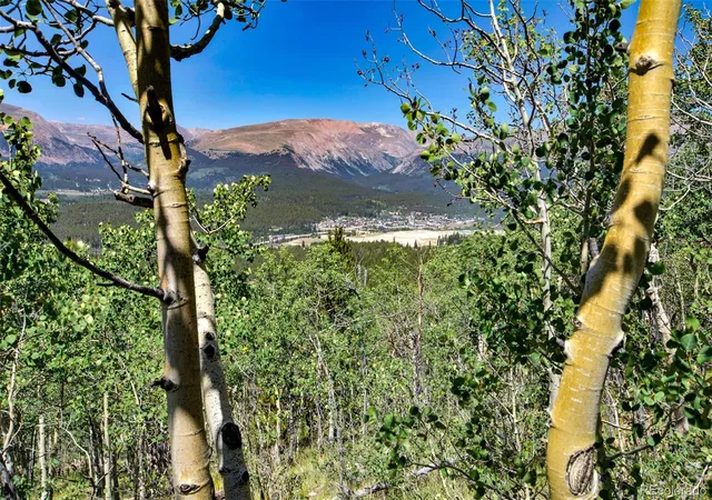 4th image of 497 Ten High Ln, Fairplay, CO 80440 | MLS# 2084980