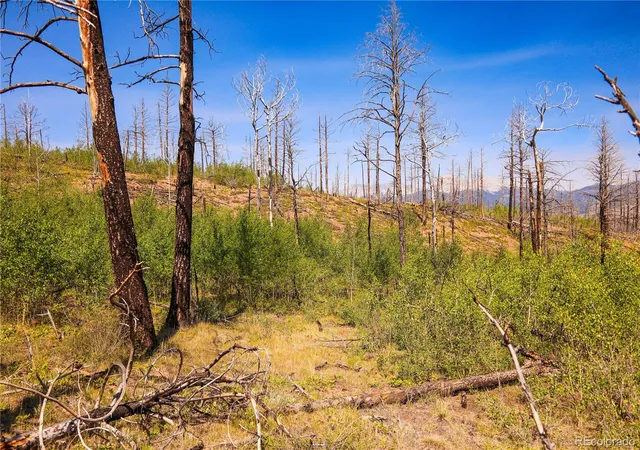 Photo 3 of Land for sale at 362 Soubry Pl, Fort Garland, CO 81133 | MLS# 2393672 | Listing updated on 2026-08-12