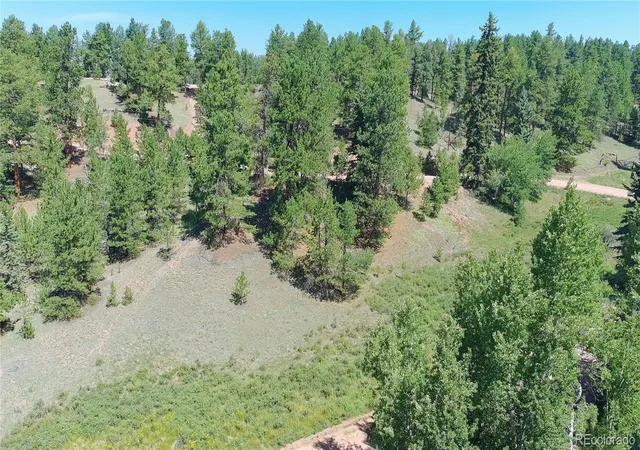 1st image of 787 Spring Valley Ln, Florissant, CO 80816 | MLS# 9356418