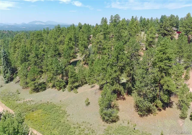 2nd image of 787 Spring Valley Ln, Florissant, CO 80816 | MLS# 9356418