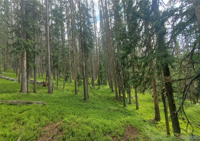 Photo 1 of Land for sale at Lot 6542 Schlueter Rd, Fort Garland, CO 81133 | MLS# 4838280 | Listing updated on 2026-08-11