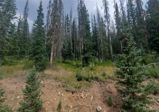Photo 2 of Land for sale at Lot 6542 Schlueter Rd, Fort Garland, CO 81133 | MLS# 4838280 | Listing updated on 2026-08-11
