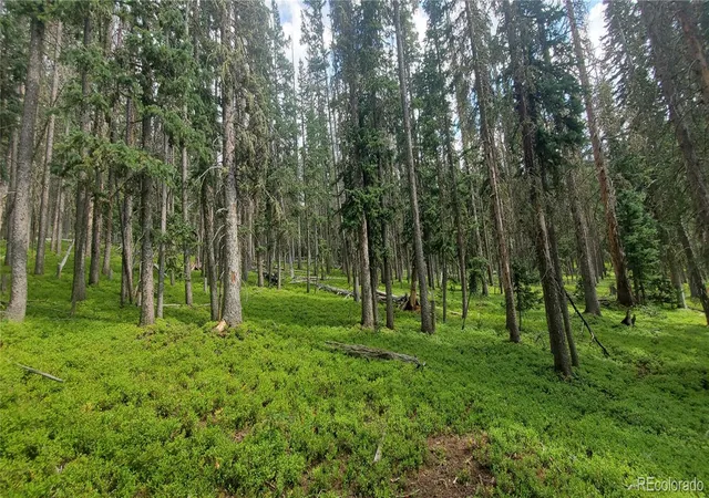 Photo 3 of Land for sale at Lot 6542 Schlueter Rd, Fort Garland, CO 81133 | MLS# 4838280 | Listing updated on 2026-08-11