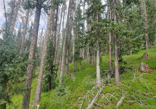 Photo 4 of Land for sale at Lot 6542 Schlueter Rd, Fort Garland, CO 81133 | MLS# 4838280 | Listing updated on 2026-08-11