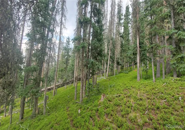 Photo 5 of Land for sale at Lot 6542 Schlueter Rd, Fort Garland, CO 81133 | MLS# 4838280 | Listing updated on 2026-08-11