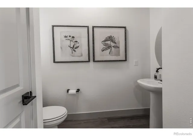 4th image of 5349 Blainville St, Timnath, CO 80547 | MLS# IR1066152