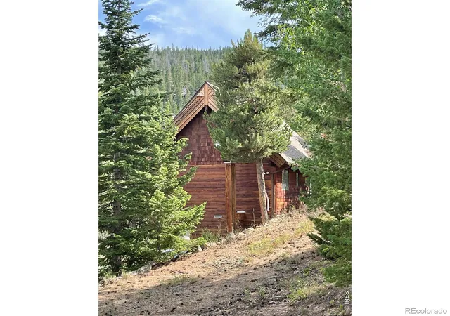 image of 785 S Skinner Rd, Allenspark, CO 80510 | MLS# IR1066164