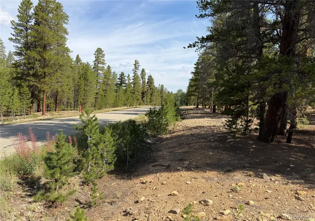 1st image of 1796 Autumn Dr, Leadville, CO 80461 | MLS# 9841148