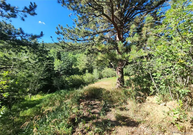 Photo 2 of Land for sale at 531 Caribou Rd, Nederland, CO 80466 | MLS# 2409992 | Listing updated on 2026-08-19