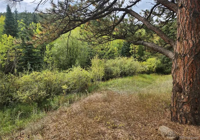 Photo 2 of Land for sale at 531 Caribou Rd, Nederland, CO 80466 | MLS# 2409992 | Listing updated on 2026-09-24