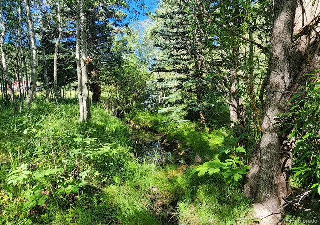 Photo 3 of Land for sale at 531 Caribou Rd, Nederland, CO 80466 | MLS# 2409992 | Listing updated on 2026-08-19