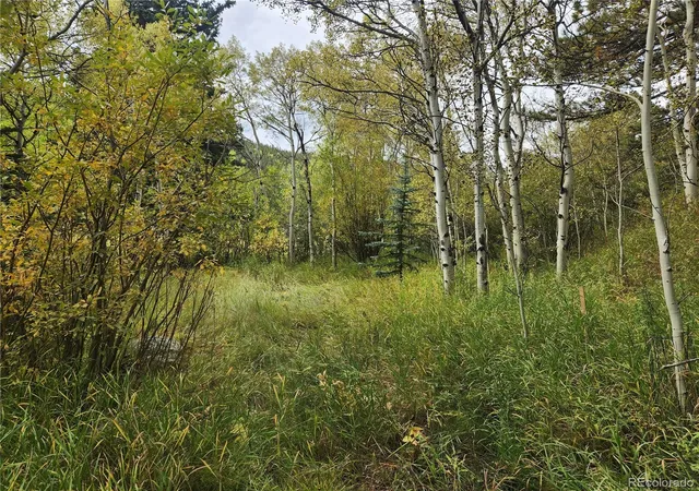 Photo 3 of Land for sale at 531 Caribou Rd, Nederland, CO 80466 | MLS# 2409992 | Listing updated on 2026-09-24