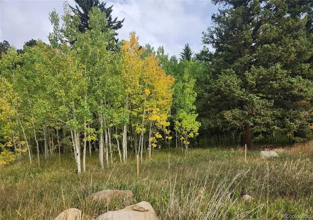 Photo 3 of Land for sale at 531 Caribou Rd, Nederland, CO 80466 | MLS# 2409992 | Listing updated on 2026-09-24