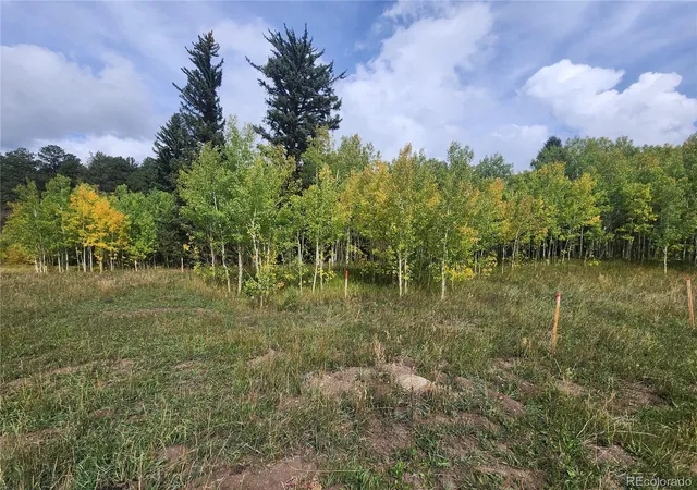 Photo 4 of Land for sale at 531 Caribou Rd, Nederland, CO 80466 | MLS# 2409992 | Listing updated on 2026-09-24