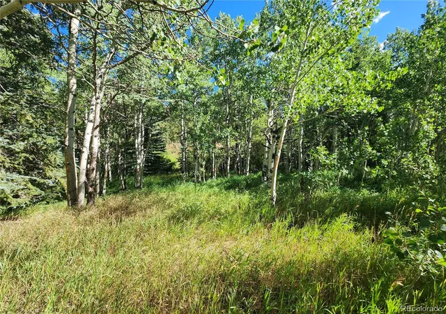 Photo 9 of Land for sale at 531 Caribou Rd, Nederland, CO 80466 | MLS# 2409992 | Listing updated on 2026-08-19