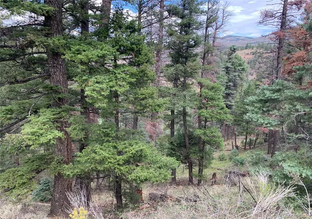 Photo 2 of Land for sale at 112 Lautenburg Dr, Fort Garland, CO 81133 | MLS# 4465089 | Listing updated on 2026-08-24