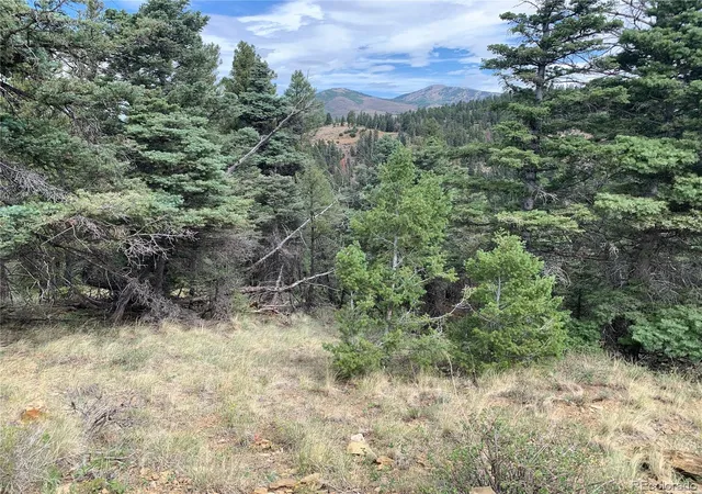 Photo 4 of Land for sale at 112 Lautenburg Dr, Fort Garland, CO 81133 | MLS# 4465089 | Listing updated on 2026-08-24