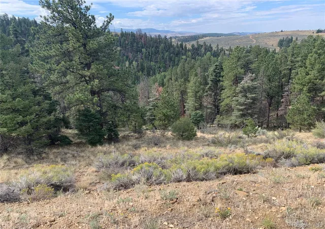 Photo 5 of Land for sale at 112 Lautenburg Dr, Fort Garland, CO 81133 | MLS# 4465089 | Listing updated on 2026-08-24