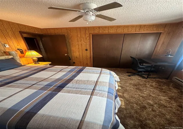 Photo 28 of Single family home for sale at 287 Hagin Ln, Fort Garland, CO 81133 | MLS# 3495194 | Listing updated on 2026-08-13