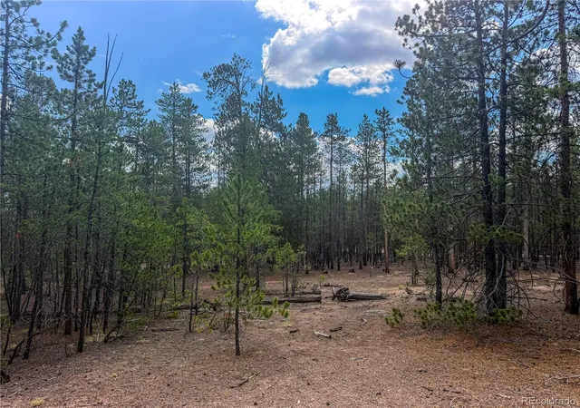 1st image of 569 Birch Dr, Leadville, CO 80461 | MLS# 7327708