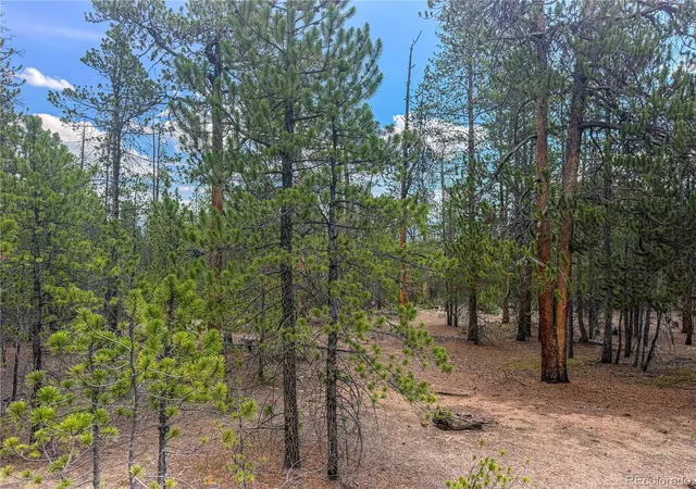 2nd image of 569 Birch Dr, Leadville, CO 80461 | MLS# 7327708