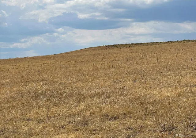 20th image of 0001 Flower Cir, Simla, CO 80835 | MLS# 7468203