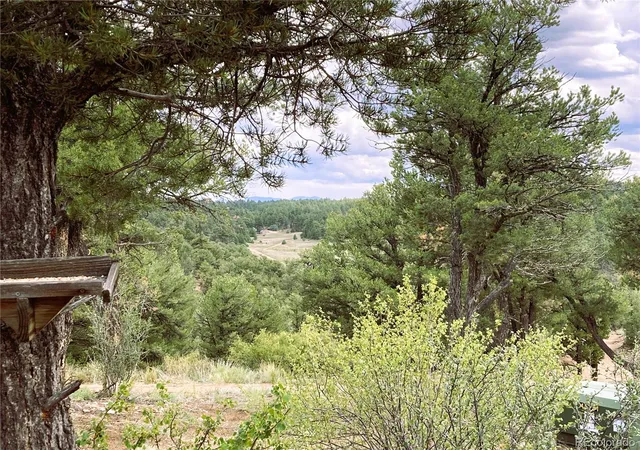 49th image of 1209 Coyote Run, Cotopaxi, CO 81223 | MLS# 7346144
