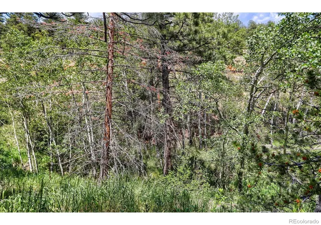Photo 26 of Single family home for sale at 449 Hwy 7 Business, Allenspark, CO 80510 | MLS# IR1066351 | Listing updated on 2026-08-13