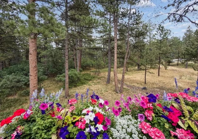 5th image of 1240 Hoosier Dr, Larkspur, CO 80118 | MLS# 3253775