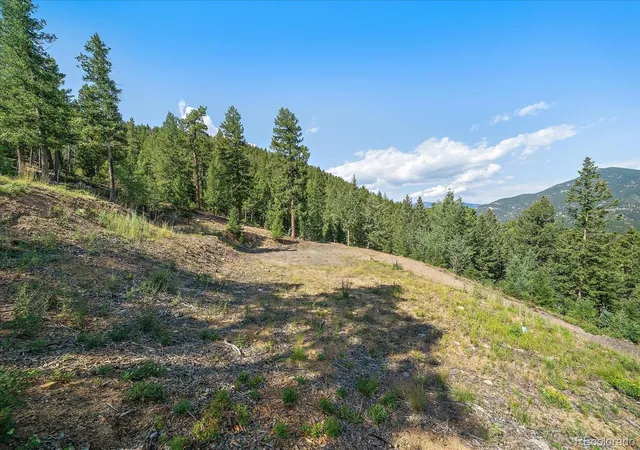 4th image of 33844 Bergen View Trl, Evergreen, CO 80439 | MLS# 8366100