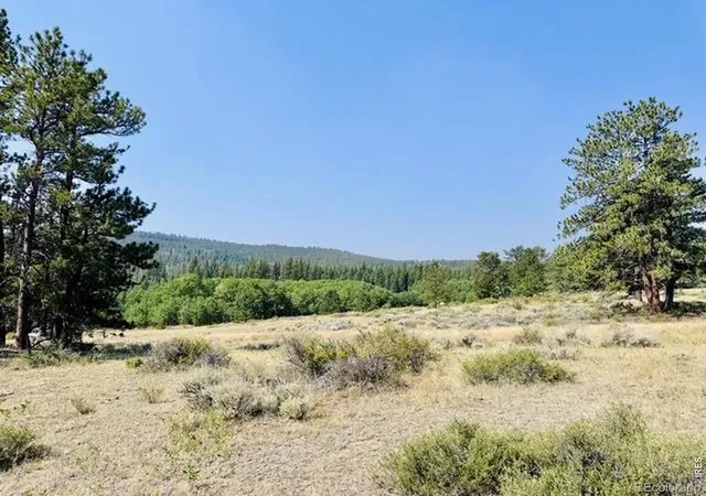 3rd image of 21424 W County Road 80C, Livermore, CO 80536 | MLS# IR1066379