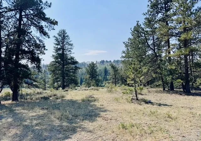 5th image of 21424 W County Road 80C, Livermore, CO 80536 | MLS# IR1066379