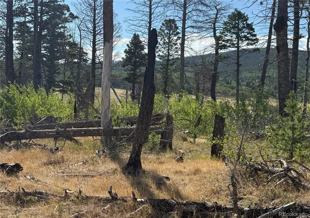 Photo 2 of Land for sale at Lot 2499 Gilmartin Ln, Fort Garland, CO 81133 | MLS# 4938261 | Listing updated on 2026-08-15