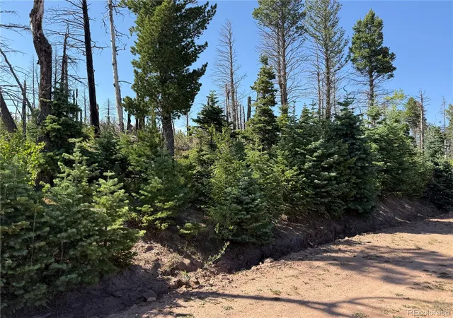 Photo 1 of Land for sale at Lot 2498 Gilmartin Ln, Fort Garland, CO 81133 | MLS# 6103271 | Listing updated on 2026-08-13