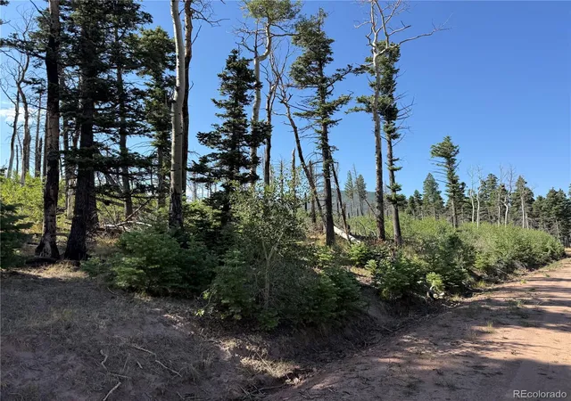 Photo 29 of Land for sale at Lot 2498 Gilmartin Ln, Fort Garland, CO 81133 | MLS# 6103271 | Listing updated on 2026-08-13
