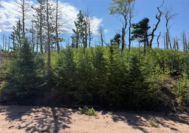 Photo 3 of Land for sale at Lot 2498 Gilmartin Ln, Fort Garland, CO 81133 | MLS# 6103271 | Listing updated on 2026-08-13