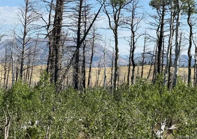 Photo 4 of Land for sale at Lot 2498 Gilmartin Ln, Fort Garland, CO 81133 | MLS# 6103271 | Listing updated on 2026-08-13
