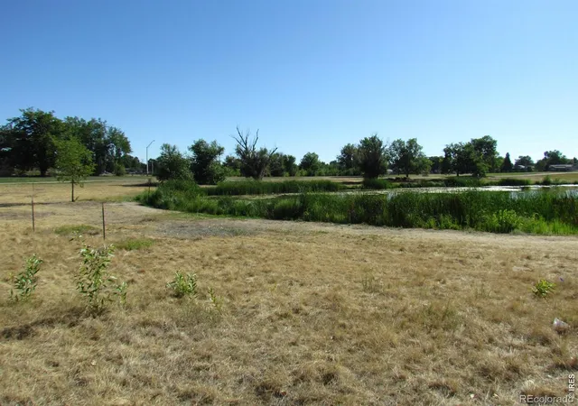 50th image of 1017 S Krameria St, Denver, CO 80224 | MLS# IR1066398