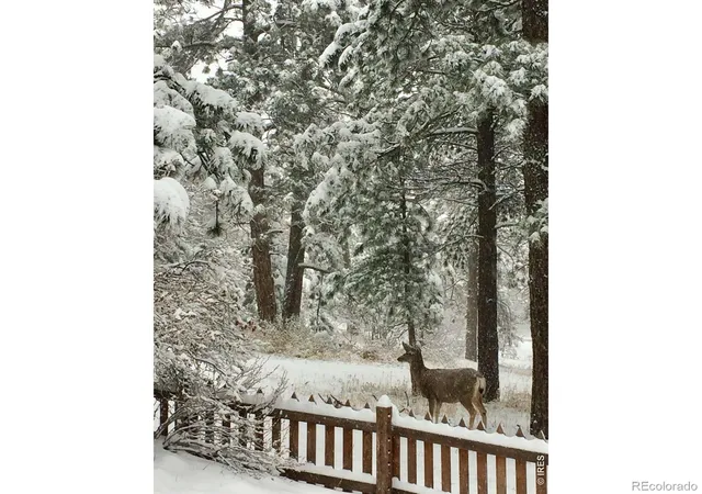 3rd image of 32048 Hwy 72 Dr, Golden, CO 80403 | MLS# IR1066411