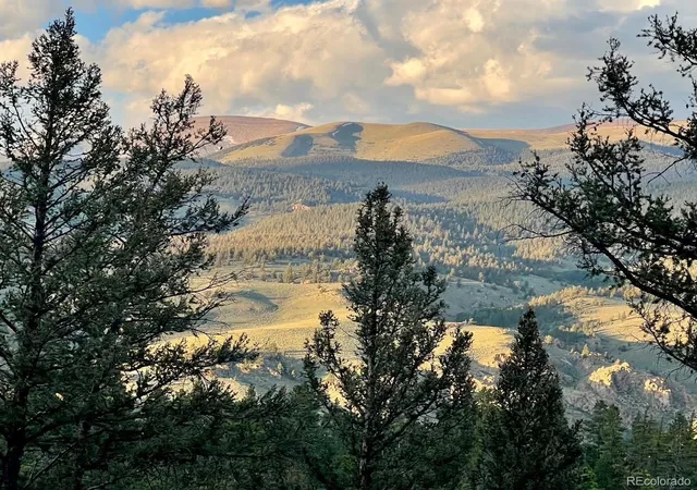 3rd image of 640 Edward E Hill Dr, Twin Lakes, CO 81251 | MLS# 9291066