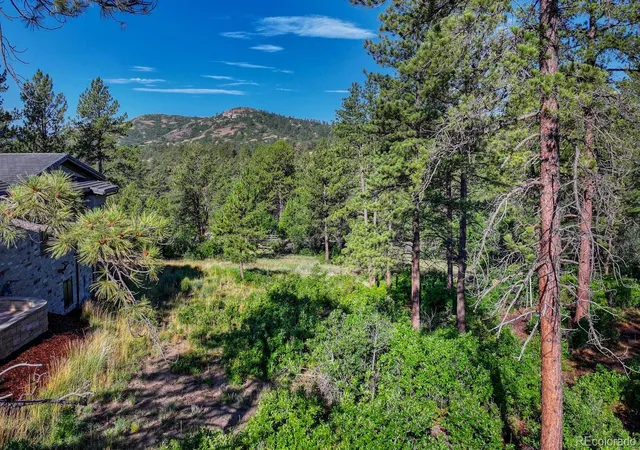 18th image of 1205 Wildcat Bend Ct, Castle Rock, CO 80108 | MLS# 9408252