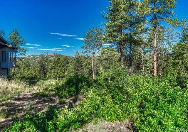 3rd image of 1205 Wildcat Bend Ct, Castle Rock, CO 80108 | MLS# 9408252