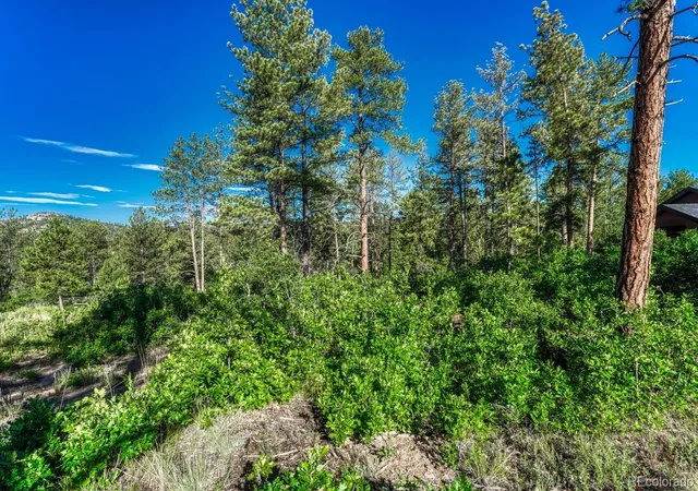 4th image of 1205 Wildcat Bend Ct, Castle Rock, CO 80108 | MLS# 9408252