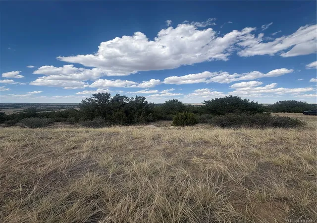 9th image of Mount Shavano, Colorado City, CO 81019 | MLS# 4475123